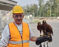 Operatore Bird control