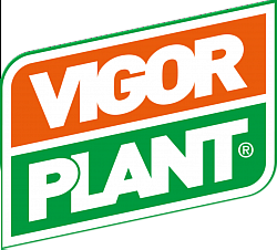 Vigorplant terricci